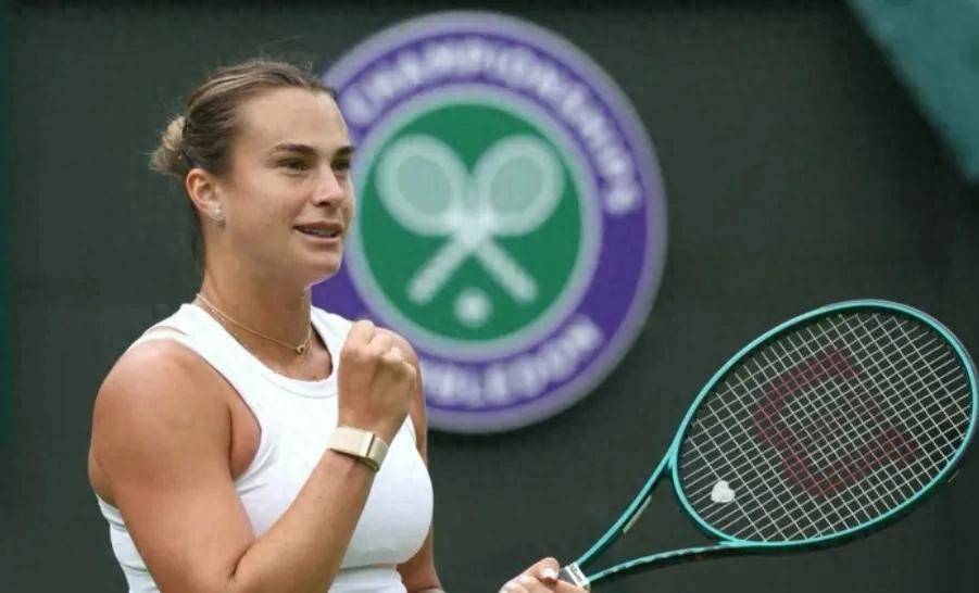 许多评论员 许多评论员