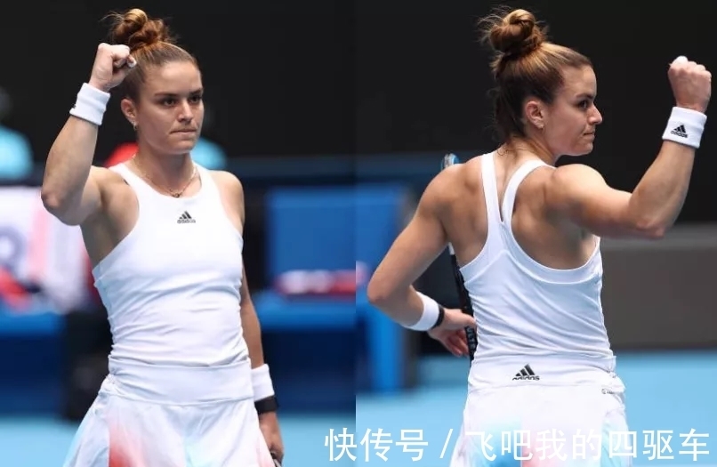 他都能适配 他都能适配