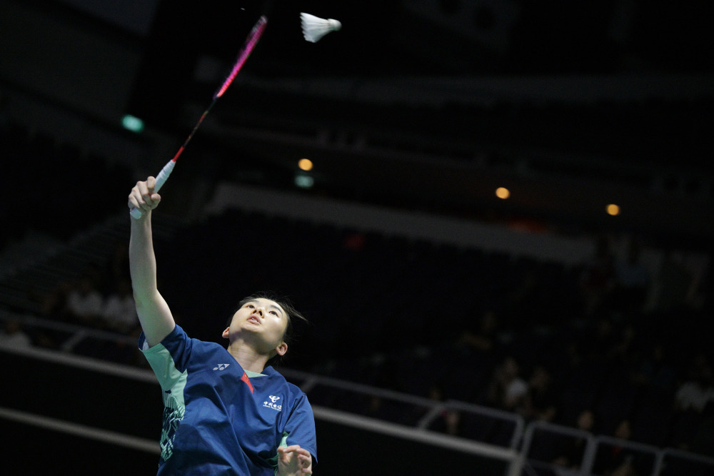 这令球迷们 这令球迷们